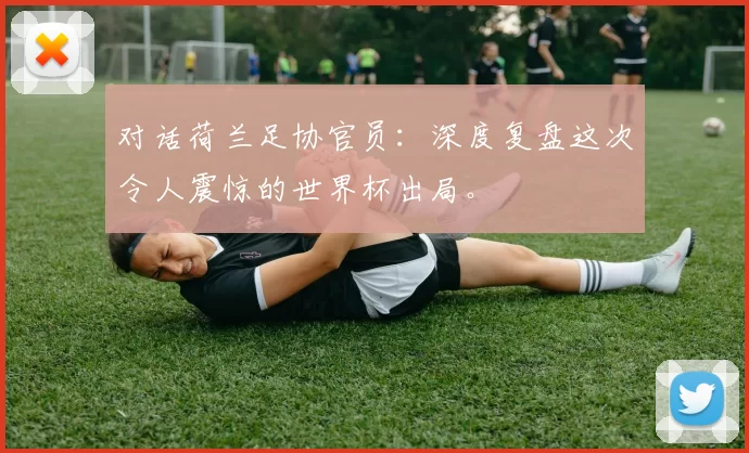 对话荷兰足协官员:深度复盘这次令人震惊的世界杯出局。