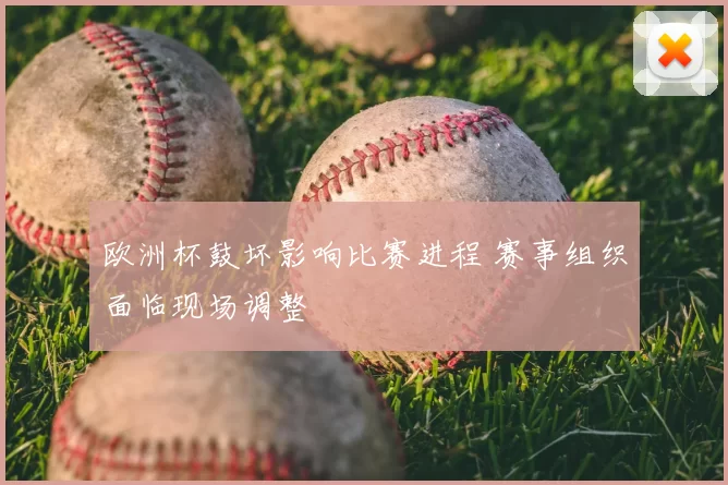 欧洲杯鼓坏影响比赛进程 赛事组织面临现场调整