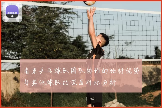 南京乒乓球队团队协作的独特优势与其他球队的深度对比分析