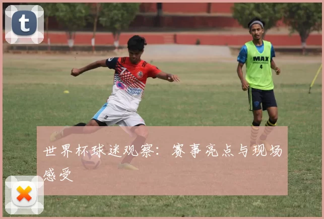 世界杯球迷观察:赛事亮点与现场感受