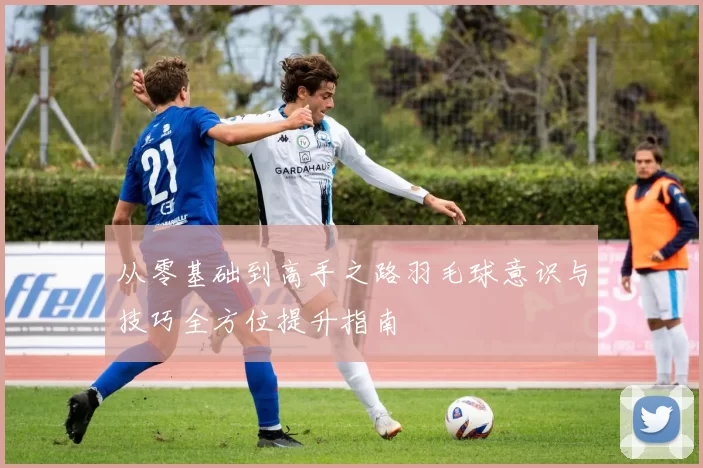 从零基础到高手之路羽毛球意识与技巧全方位提升指南