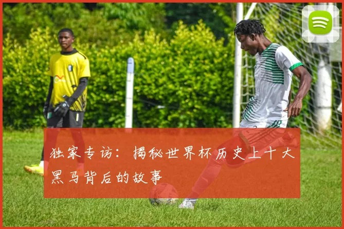 独家专访:揭秘世界杯历史上十大黑马背后的故事