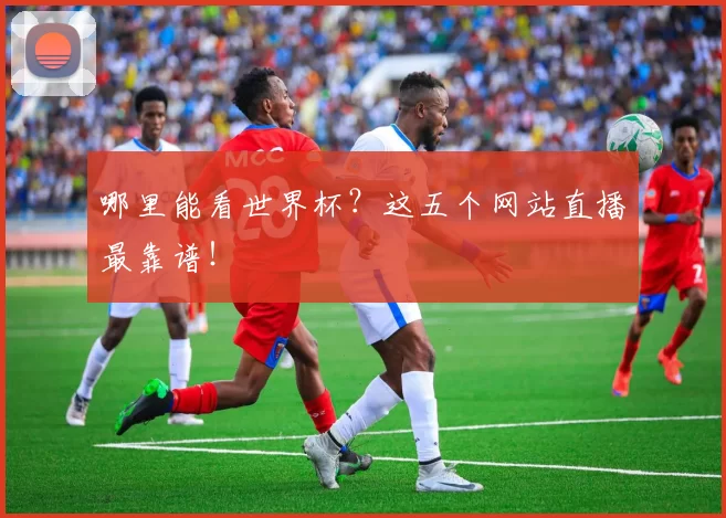 哪里能看世界杯?这五个网站直播最靠谱!