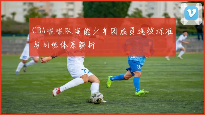 CBA啦啦队高能少年团成员选拔标准与训练体系解析