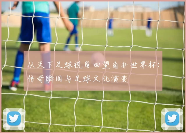从天下足球视角回望南非世界杯：传奇瞬间与足球文化演变