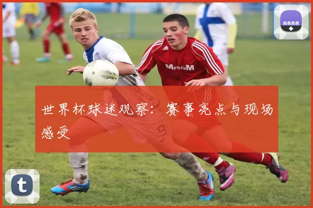 世界杯球迷观察:赛事亮点与现场感受