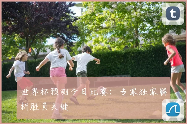 世界杯预测今日比赛:专家独家解析胜负关键