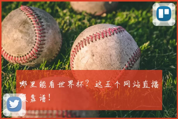 哪里能看世界杯?这五个网站直播最靠谱!