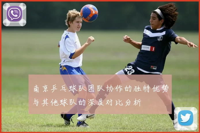 南京乒乓球队团队协作的独特优势与其他球队的深度对比分析