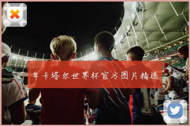 年卡塔尔世界杯官方图片精选